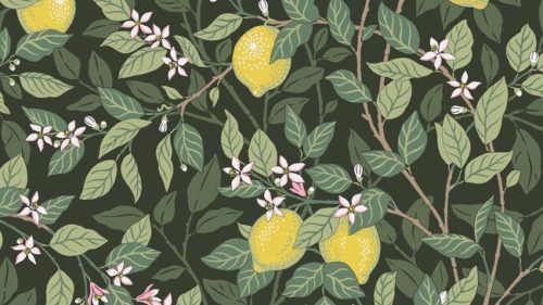 Citrontrad 5701